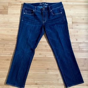 AMERICAN EAGLE | Stretch Artist Flare Style Jeans